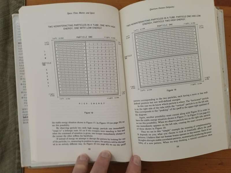 Fred Alan Wolf, Mind and the New Physics