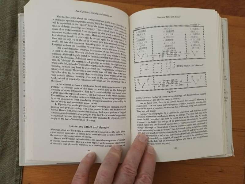 Fred Alan Wolf, Mind and the New Physics