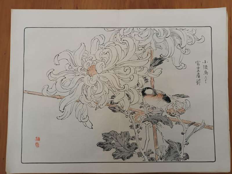 Eleven original Japanese hand-printed woodblock prints of chrysanthemums, 1890s