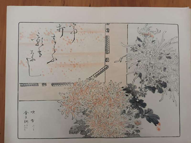 Eleven original Japanese hand-printed woodblock prints of chrysanthemums, 1890s