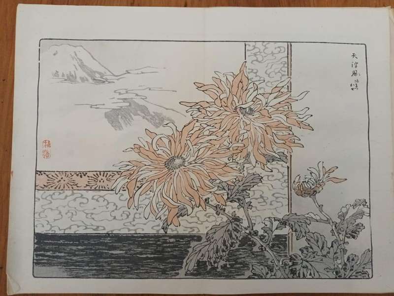 Eleven original Japanese hand-printed woodblock prints of chrysanthemums, 1890s
