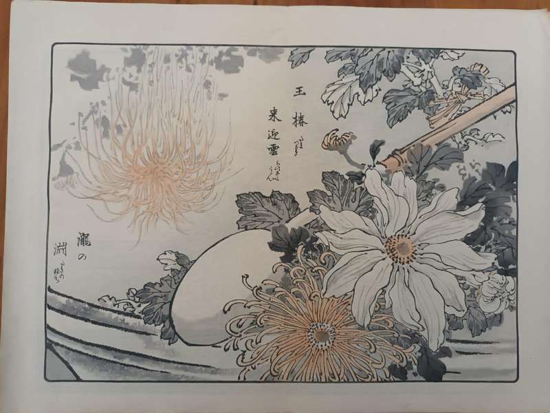 Eleven original Japanese hand-printed woodblock prints of chrysanthemums, 1890s