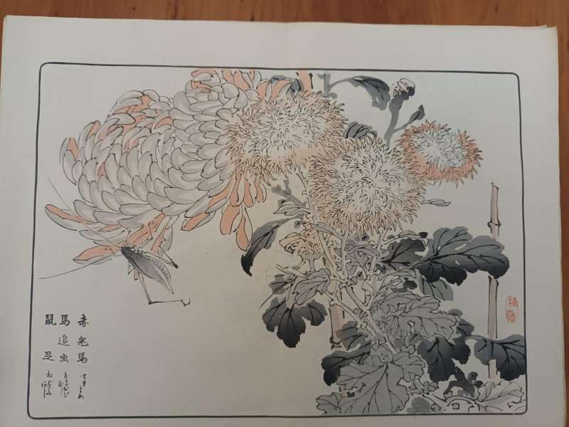 Eleven original Japanese hand-printed woodblock prints of chrysanthemums, 1890s