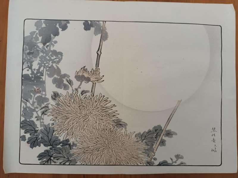 Eleven original Japanese hand-printed woodblock prints of chrysanthemums, 1890s