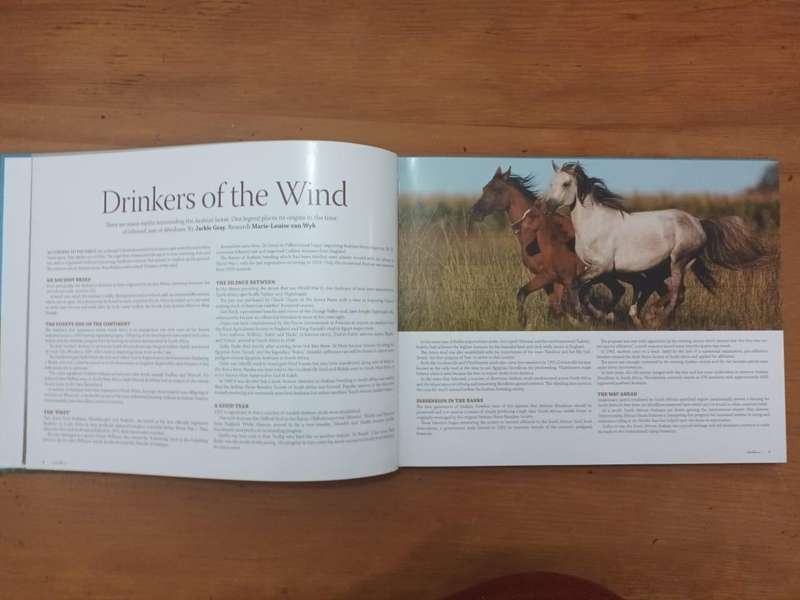 Arabians of Southern Africa 2009 (Equestrianism, horses)