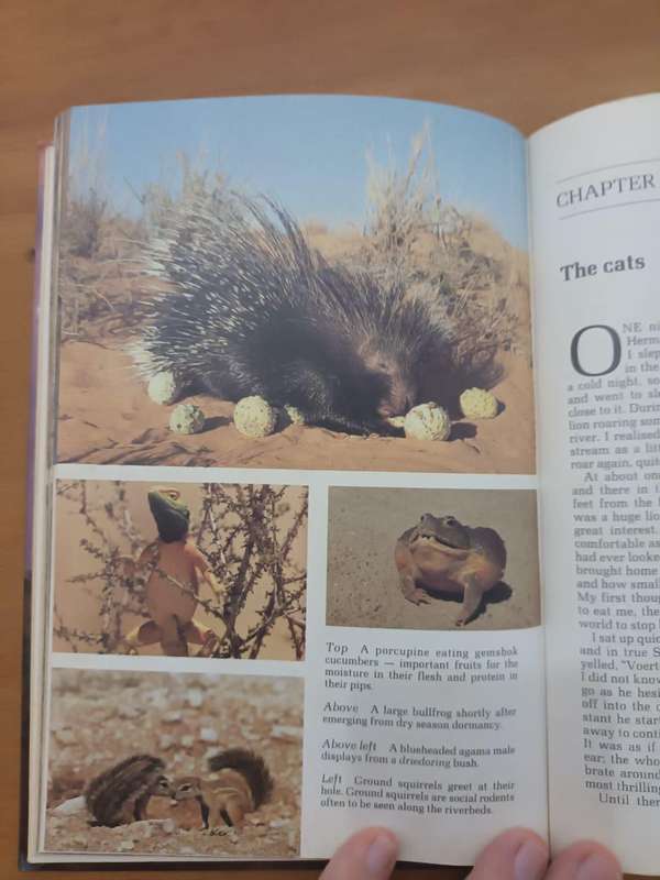 Guide to the Kalahari Gemsbok National Park