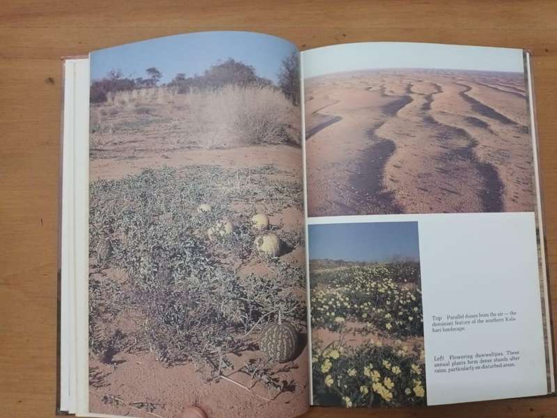 Guide to the Kalahari Gemsbok National Park
