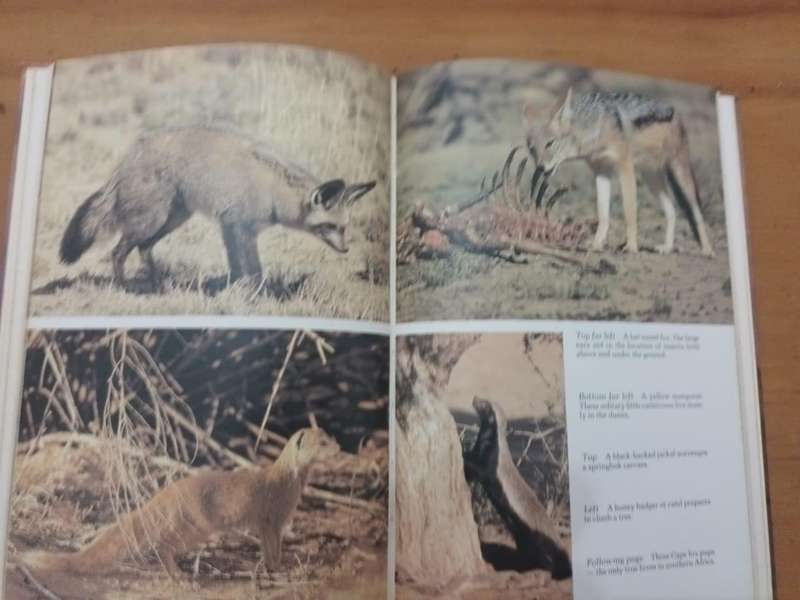 Guide to the Kalahari Gemsbok National Park