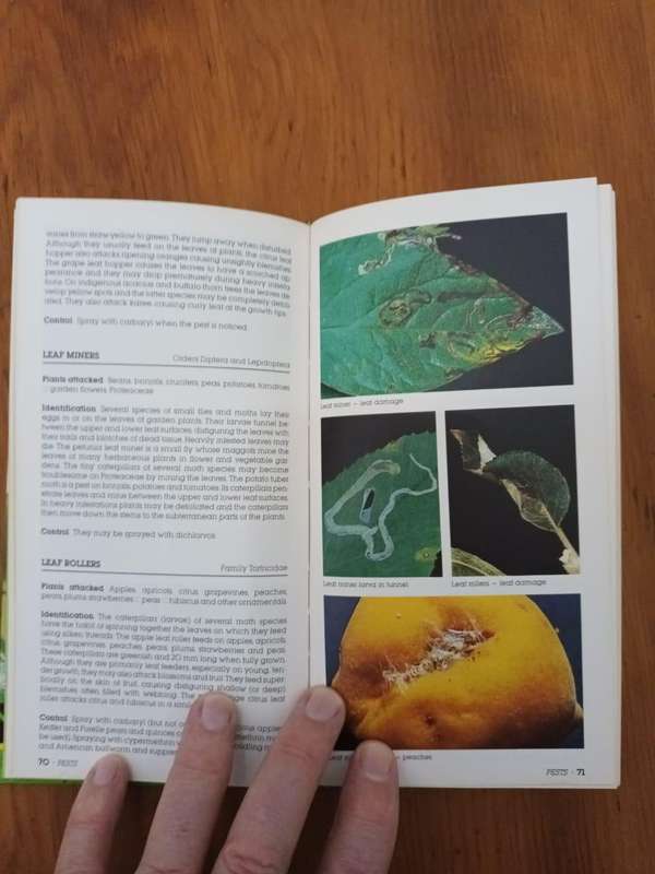 Garden Pests and Diseases in South Africa