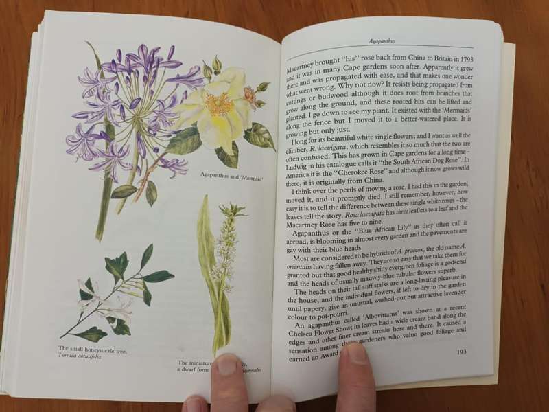 A Gardener's Year (Eve Palmer)
