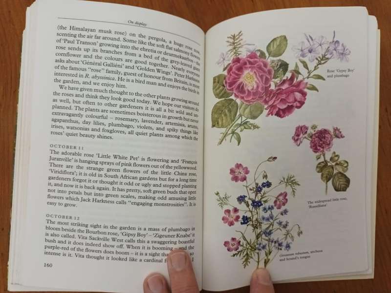 A Gardener's Year (Eve Palmer)