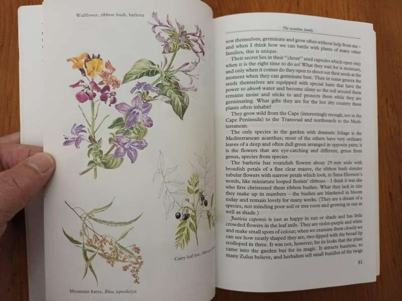 A Gardener's Year (Eve Palmer)