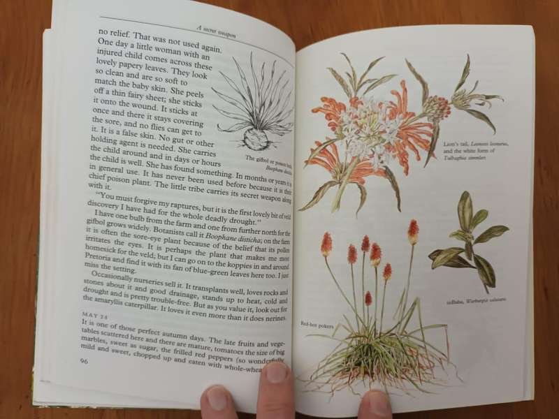 A Gardener's Year (Eve Palmer)