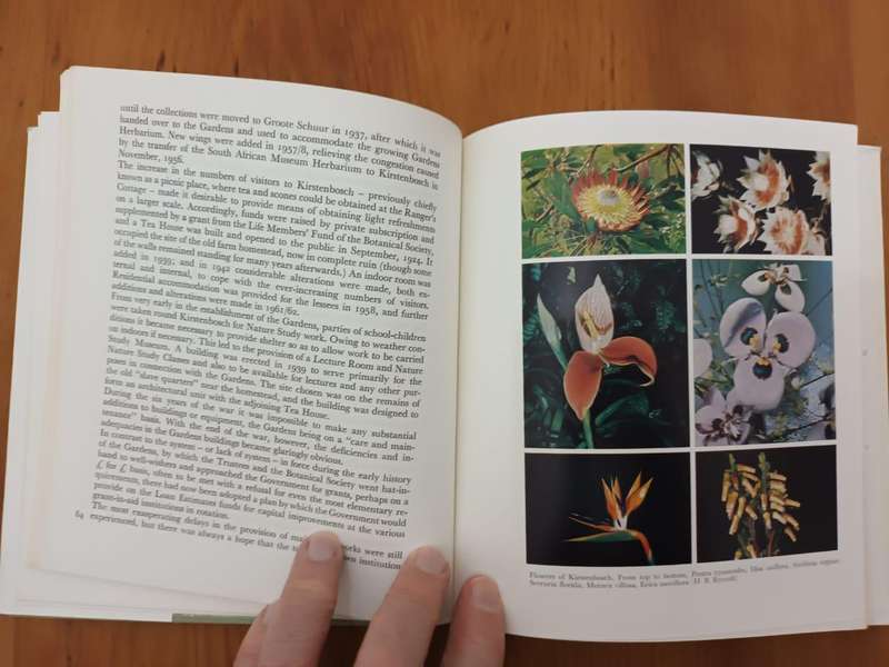 Kirstenbosch, Garden for a Nation (Robert Harold Compton)