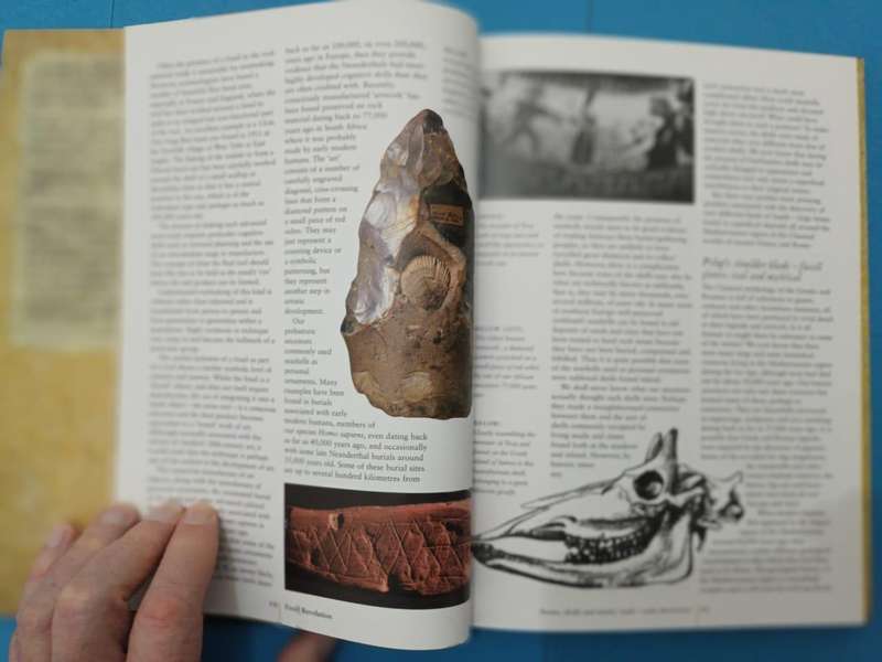 The Fossil Revolution: Finds That Changed Our View of the Past