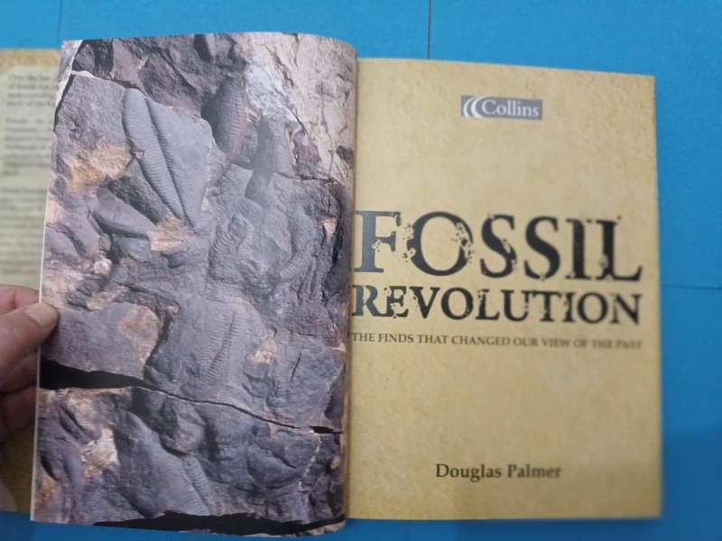 The Fossil Revolution: Finds That Changed Our View of the Past