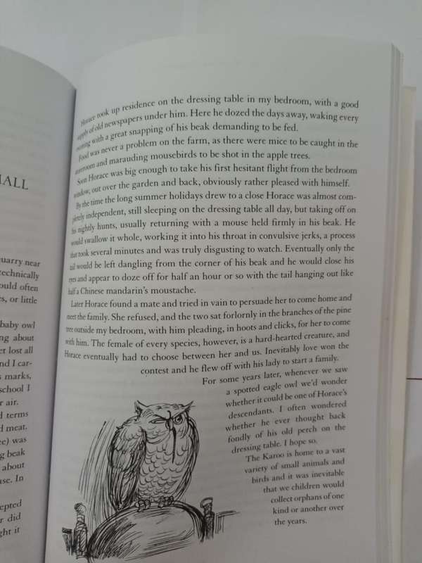Karoo Ramblings: Short Stories & Tall Tales (David Biggs)