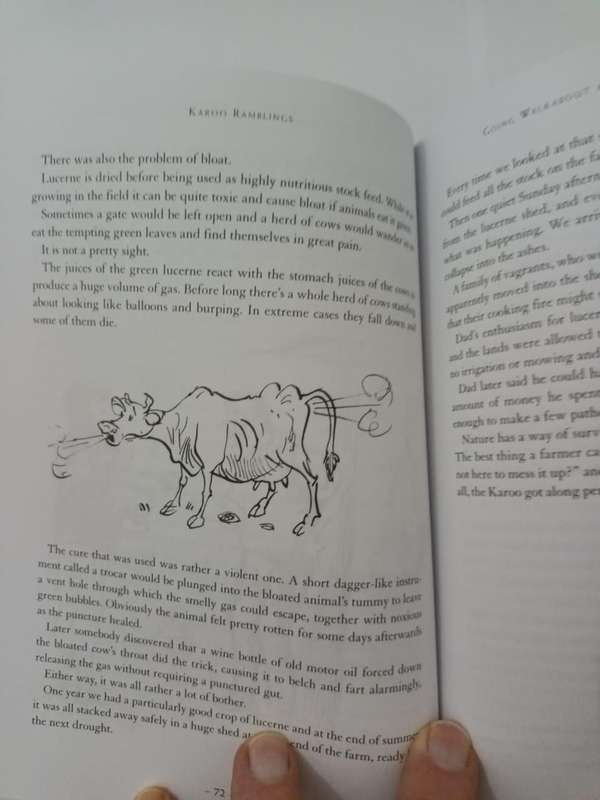 Karoo Ramblings: Short Stories & Tall Tales (David Biggs)