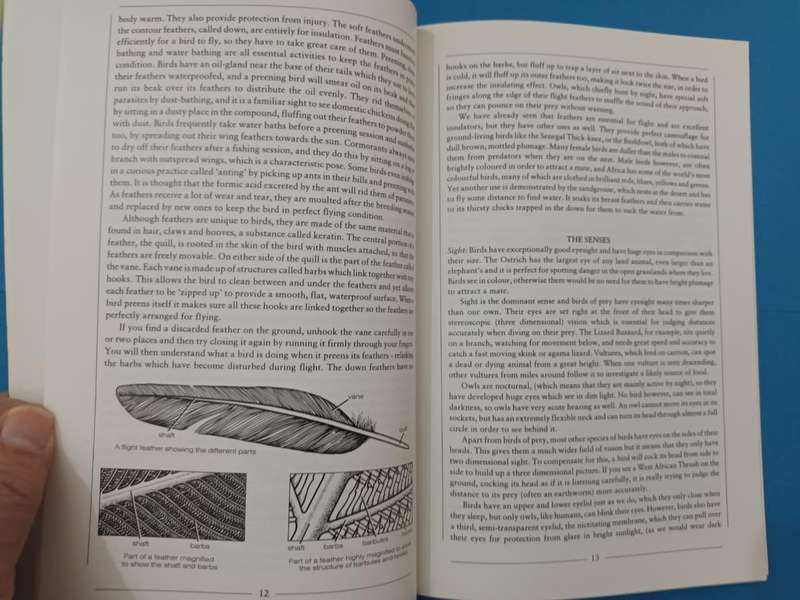 Discovering Birds: An Introduction to the Birds of Nigeria