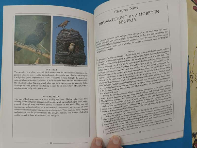 Discovering Birds: An Introduction to the Birds of Nigeria