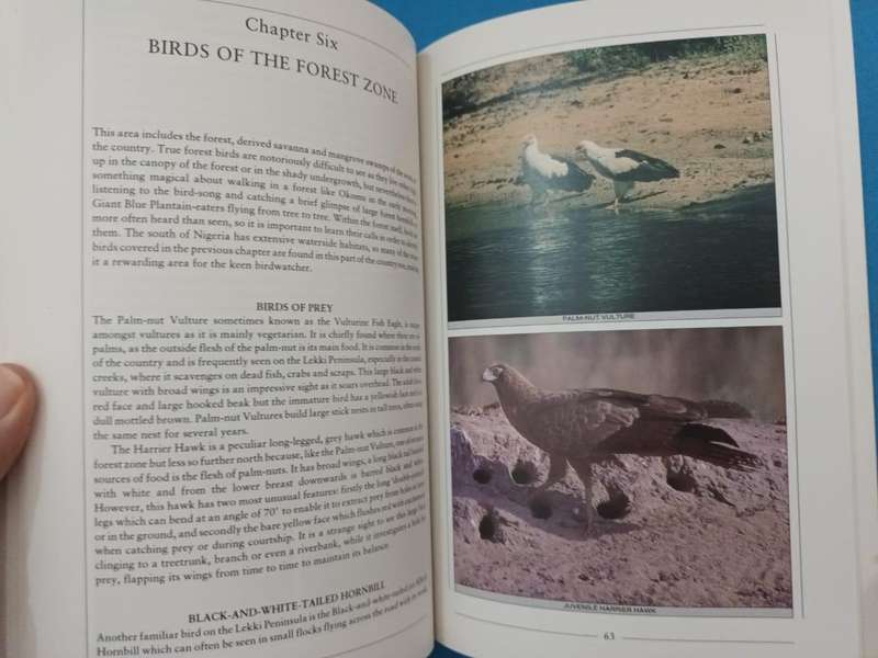 Discovering Birds: An Introduction to the Birds of Nigeria