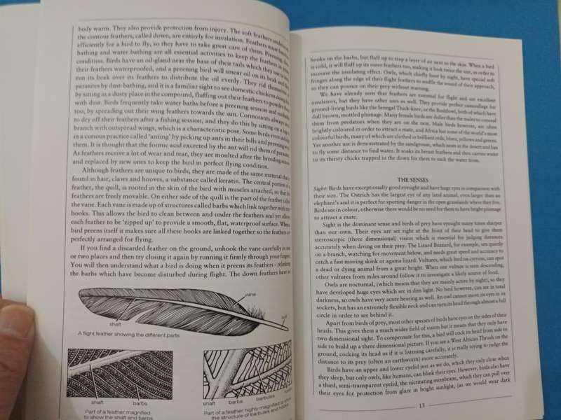 Discovering Birds: An Introduction to the Birds of Nigeria