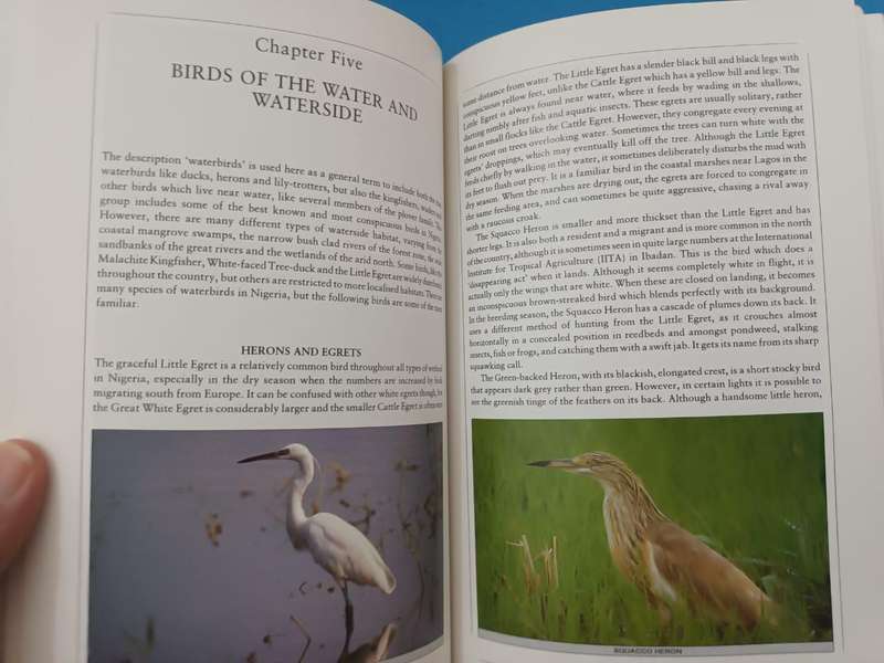 Discovering Birds: An Introduction to the Birds of Nigeria