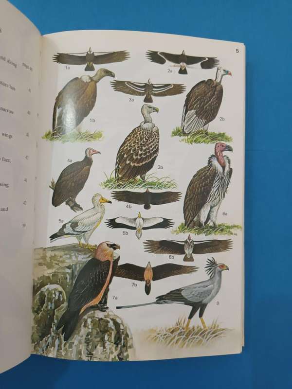 Field Guide to the Birds of East Africa (Williams and Arlott)