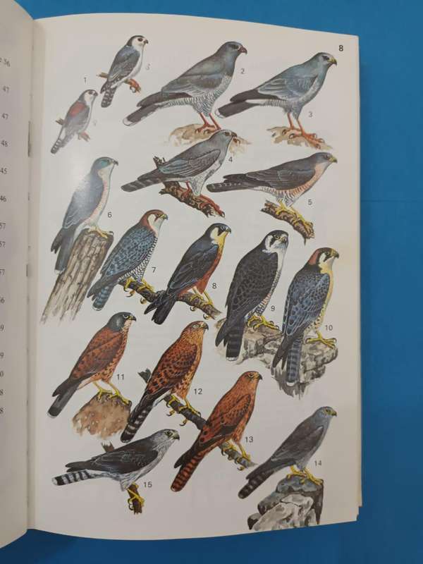 Field Guide to the Birds of East Africa (Williams and Arlott)
