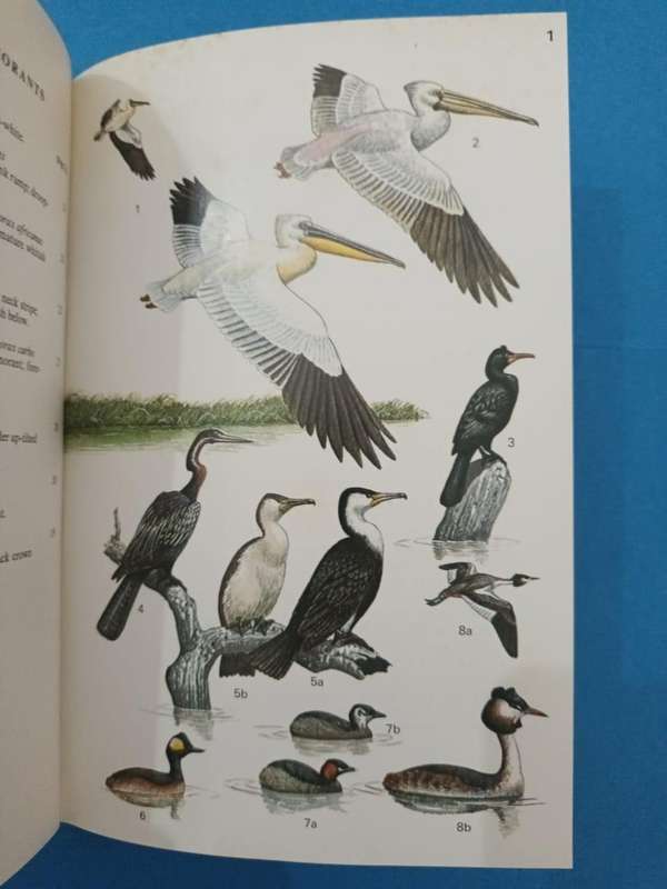 Field Guide to the Birds of East Africa (Williams and Arlott)