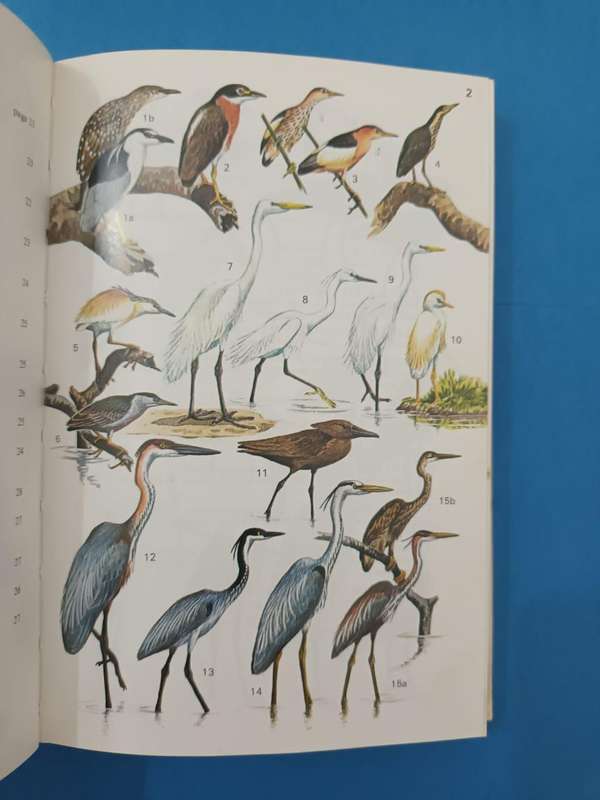 Field Guide to the Birds of East Africa (Williams and Arlott)