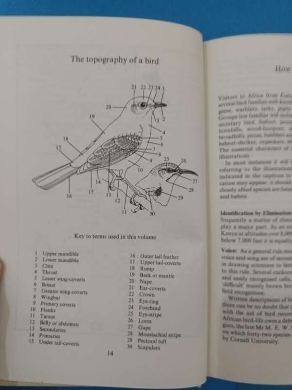 Field Guide to the Birds of East Africa (Williams and Arlott)