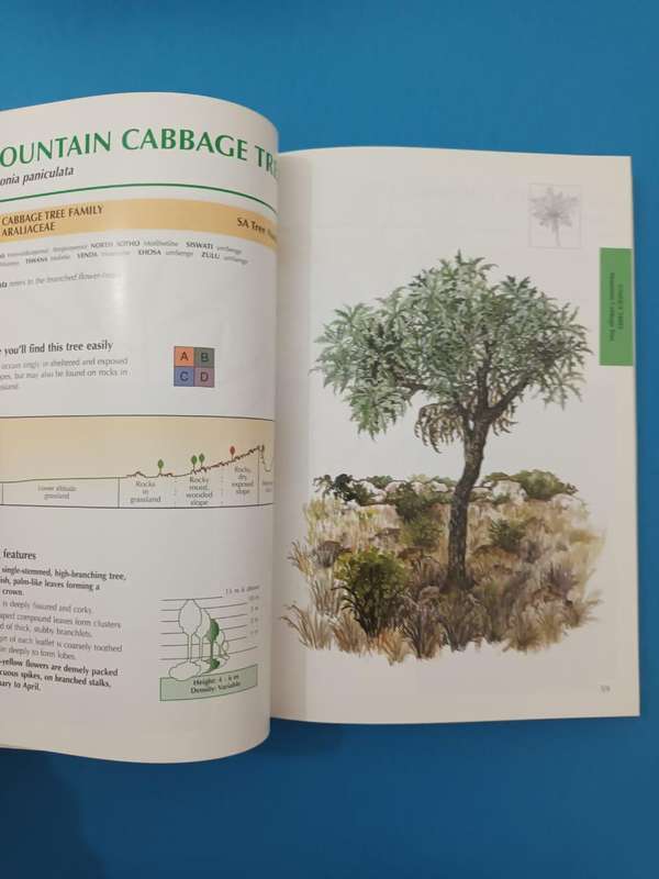 Sappi Tree Spotting: Highveld and the Drakensberg