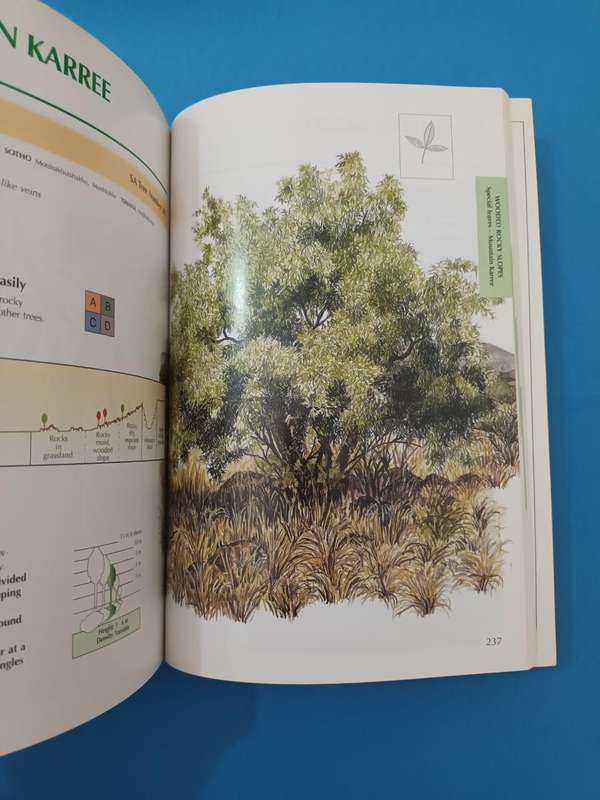 Sappi Tree Spotting: Highveld and the Drakensberg