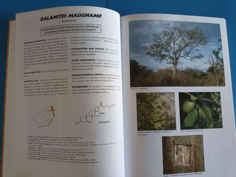 Medicinal Plants of South Africa
