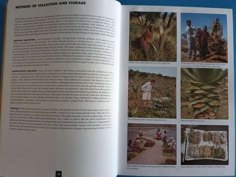 Medicinal Plants of South Africa