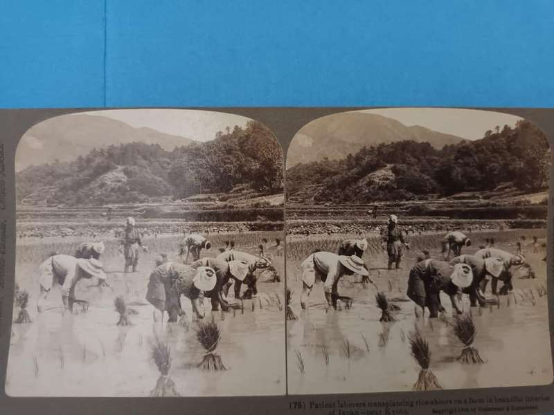 76 stereoscopic photographic slides of Japan, 1904: a wonderful time capsule!