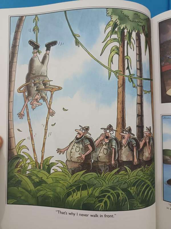 The Far Side Gallery 5 (Gary Larson)