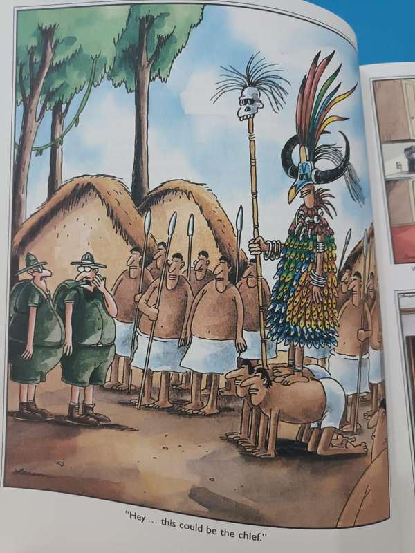 The Far Side Gallery 5 (Gary Larson)