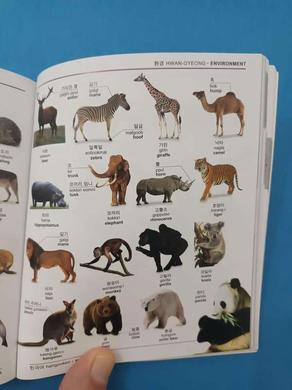 (Dorling Kindersley) Korean English Bilingual Dictionary