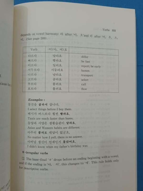 Korean Grammar for International Learners
