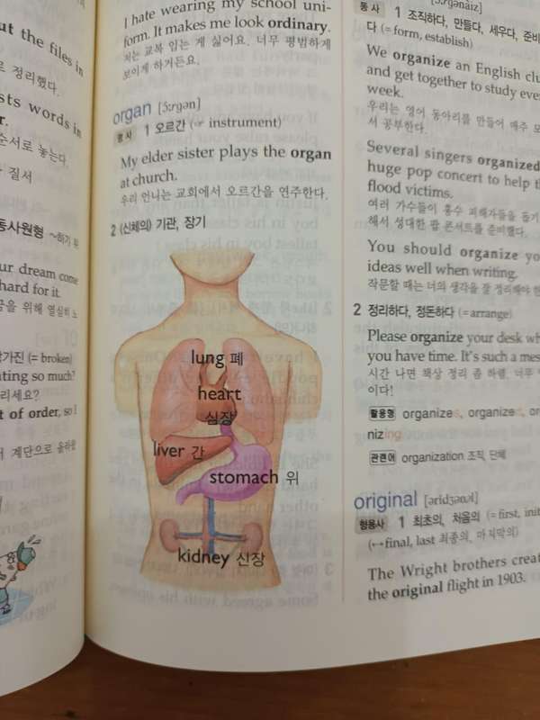Yonsei Primary English-Korean Dictionary