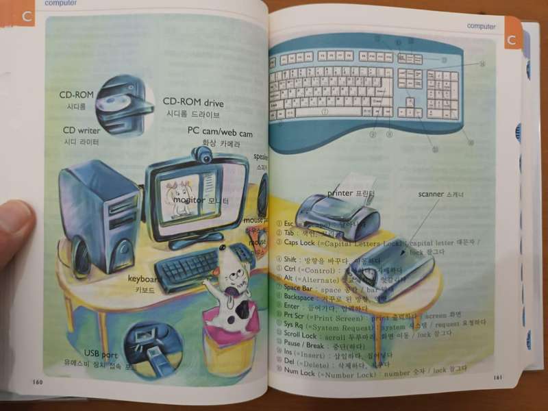 Yonsei Primary English-Korean Dictionary