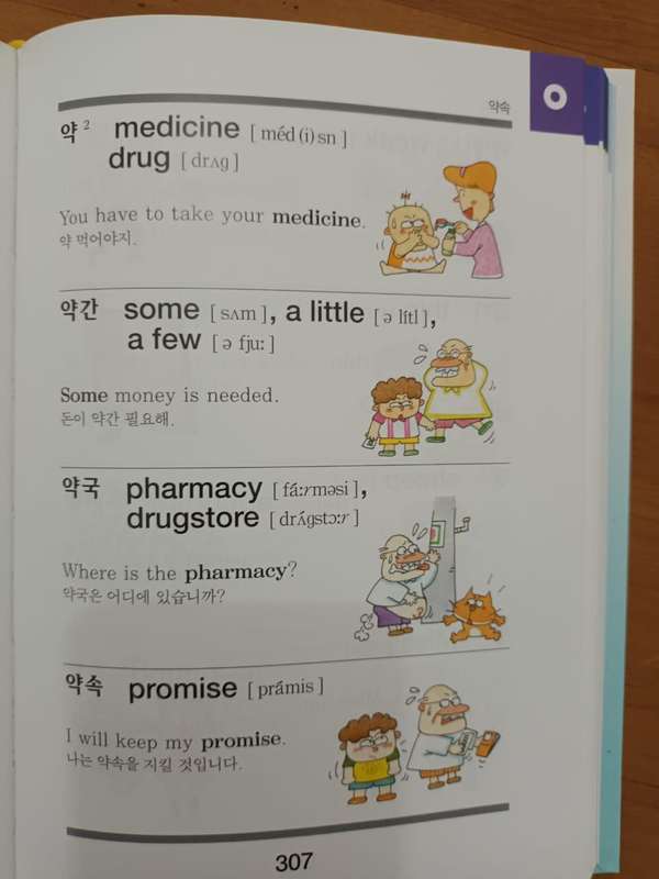 Korean-English Dictionary for young students (Geu-rim-eu-ro Bo-neun Han-yeong Sa-jeon)