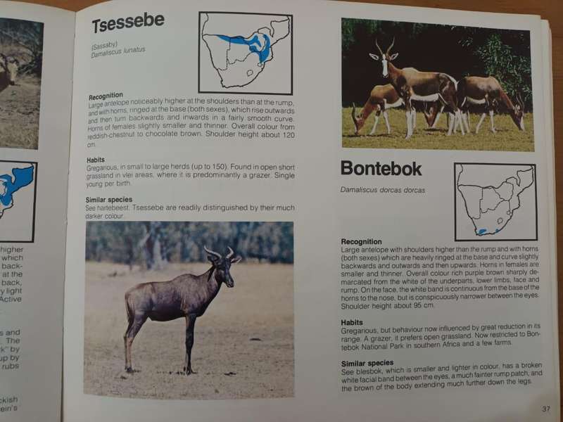Mammals of South Africa