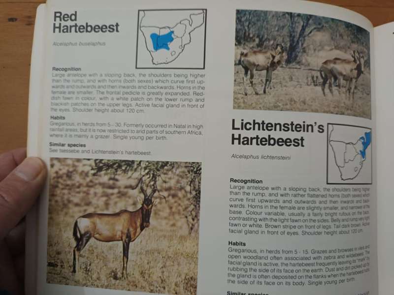Mammals of South Africa