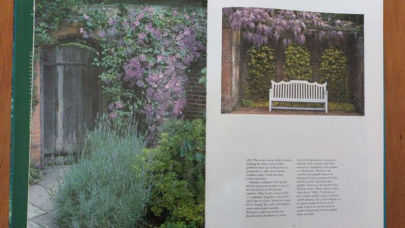 Glorious Gardens: a Portfolio of Ideas for Planting and Design