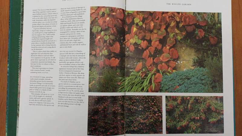 Glorious Gardens: a Portfolio of Ideas for Planting and Design