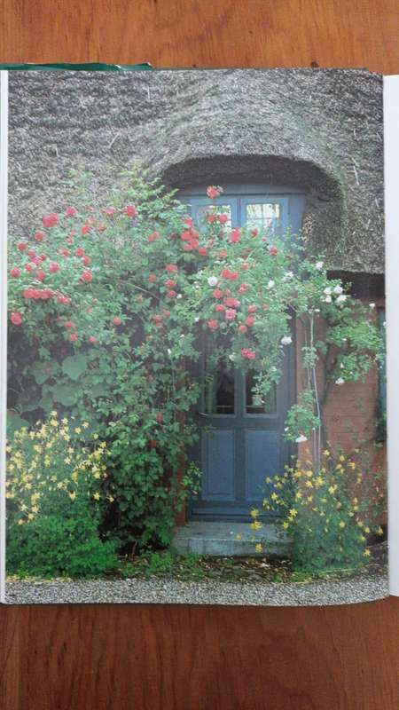 Glorious Gardens: a Portfolio of Ideas for Planting and Design