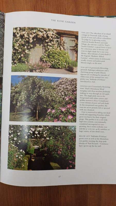 Glorious Gardens: a Portfolio of Ideas for Planting and Design